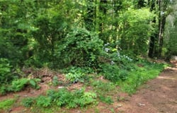 46 Lake Latimer Drive, Kennesaw, GA 30144