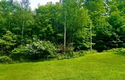 W17769 S Curtis Rd, Curtis, MI 49820