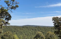 Lot 25, Pecos, NM 87552