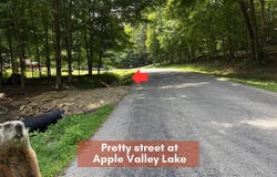 558 Crabapple Drive, Howard, OH 43028
