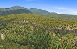 1628 CANYON VIEW Loop, Williams, AZ 86046
