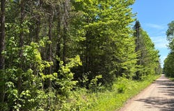 ON WILSON SCHOOL RD, Tomahawk, WI 54487