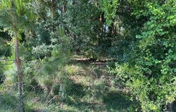 203 PLUMOSA Drive, Georgetown, FL 32139