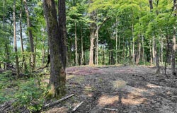 2 State Road 237, English, IN 47118