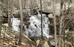 Old Spencer Rd. - 198 Acres, Pikeville, TN 37367