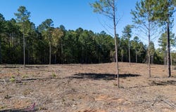 1.41 AC Millville Road, Lawrenceville, VA 23868