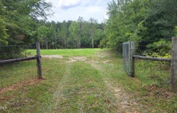 7617 Green Road, Sneads, FL 32460