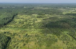 Tbd County Road 14, Littlefork, MN 56653