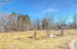 Lot 5 Gandy View Ave, Milltown, WI 54858