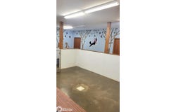 1912 E Mound Street, Algona, IA 50511