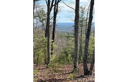 Taylorsville Road unit: Tract 1, Taylorsville, NC 28681