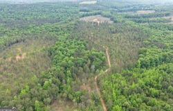 140+/- AC Hwy 100, Franklin, GA 30217