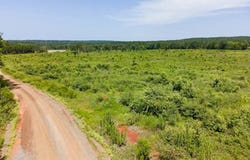 TBD CR 217, San Augustine, TX 75972