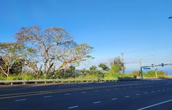 81-6269 MAMALAHOA HIGHWAY, Captain Cook, HI 96704
