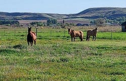 9221 Brill Road, Emmett, ID 83617