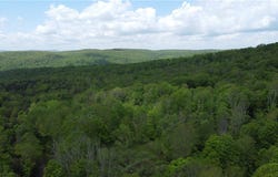 Snake Creek Road, Hancock, NY 13783