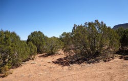 Tract 2A Camino del Sol, NM 87569