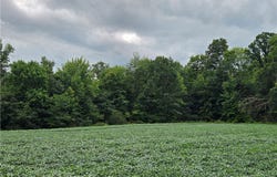 Norton Road, Garrettsville, OH 44231
