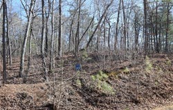 00 Harris Ridge Lane, Ellijay, GA 30540