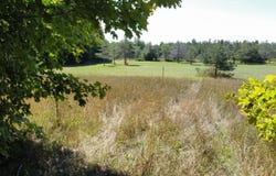 N Webb Rd, Hessel, MI 49745