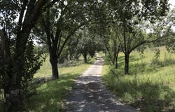 839 Co Rd 109, Montevallo, AL 35115