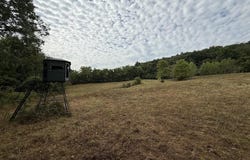 Lick Fork Road, Marshall, AR 72650