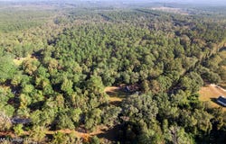Nhn Restertown Road, Poplarville, MS 39470