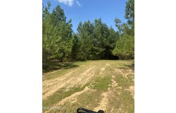 448 Attala Rd 4005, Goodman, MS 39079