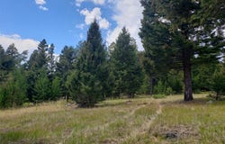 300 Hematite Road, Helmville, MT 59843