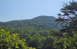 Tbd Wisler Dr, Fancy Gap, VA 24328