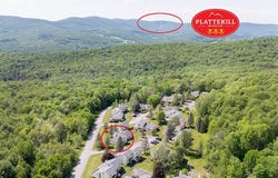90 Pines Drive, Roxbury, NY 12474