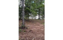 SHORESIDE DR lot: 54, Double Springs, AL 35553