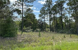 11774 N Shenandoah Way, Citrus Springs, FL 34433