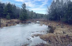 0 Ford Hill Road, Jewett, NY 12444