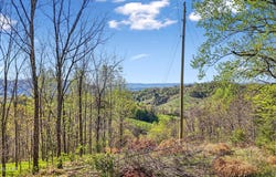 0 Bailey Cemetery Rd, Tazewell, TN 37879