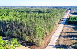 Farms Edge Road, Manor, GA 31552