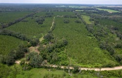 NE Geranium Street, Madison, FL 32340