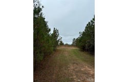 000 Apple Grove Rd, Vredenburgh, AL 36481