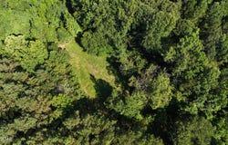 00 Old Hwy 69 & Hog Creek Rd, Sugar Tree, TN 38380