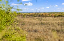 624 +/- AC in Garza & Crosby Counties, Post, TX 79356