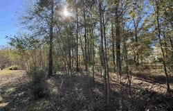 0 lot 3 PLATTS LANDING, Bernice, LA 71222
