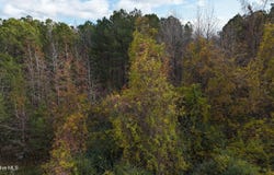 Sr 1100, Blounts Creek, NC 27814