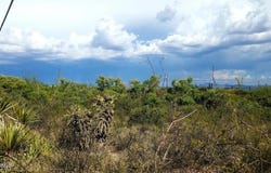 24 Lots San Jose Estates --, Bisbee, AZ 85603