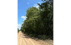 Tbd Watermelon Lane, Barnwell, SC 29812