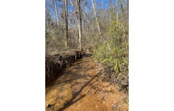 155+/- Acres County Road 313, Wedowee, AL 36278
