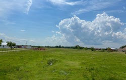 FM 686, Dayton, TX 77535