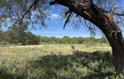 600 RIO ST, Uvalde, TX 78801