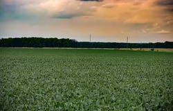 000 E 800 Road, Lawrence, KS 66047