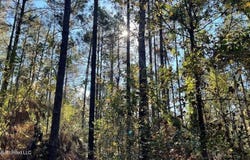Delaware Avenue, McComb, MS 39648