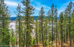 NNA S H 97, Harrison, ID 83833